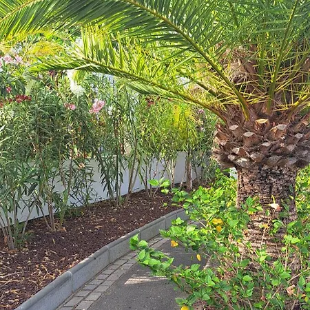 Apartament Casa Arena *